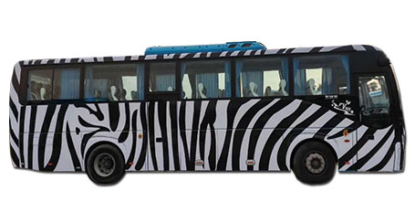 大巴車車身廣告,深圳車身廣告設計制作