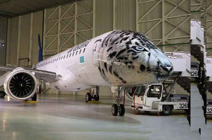 飛機(jī)車身貼涂裝